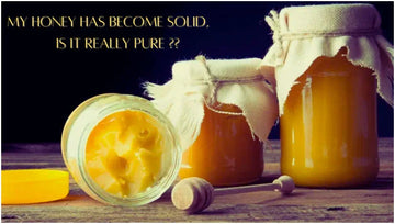 My honey become solid, is it pure honey ?