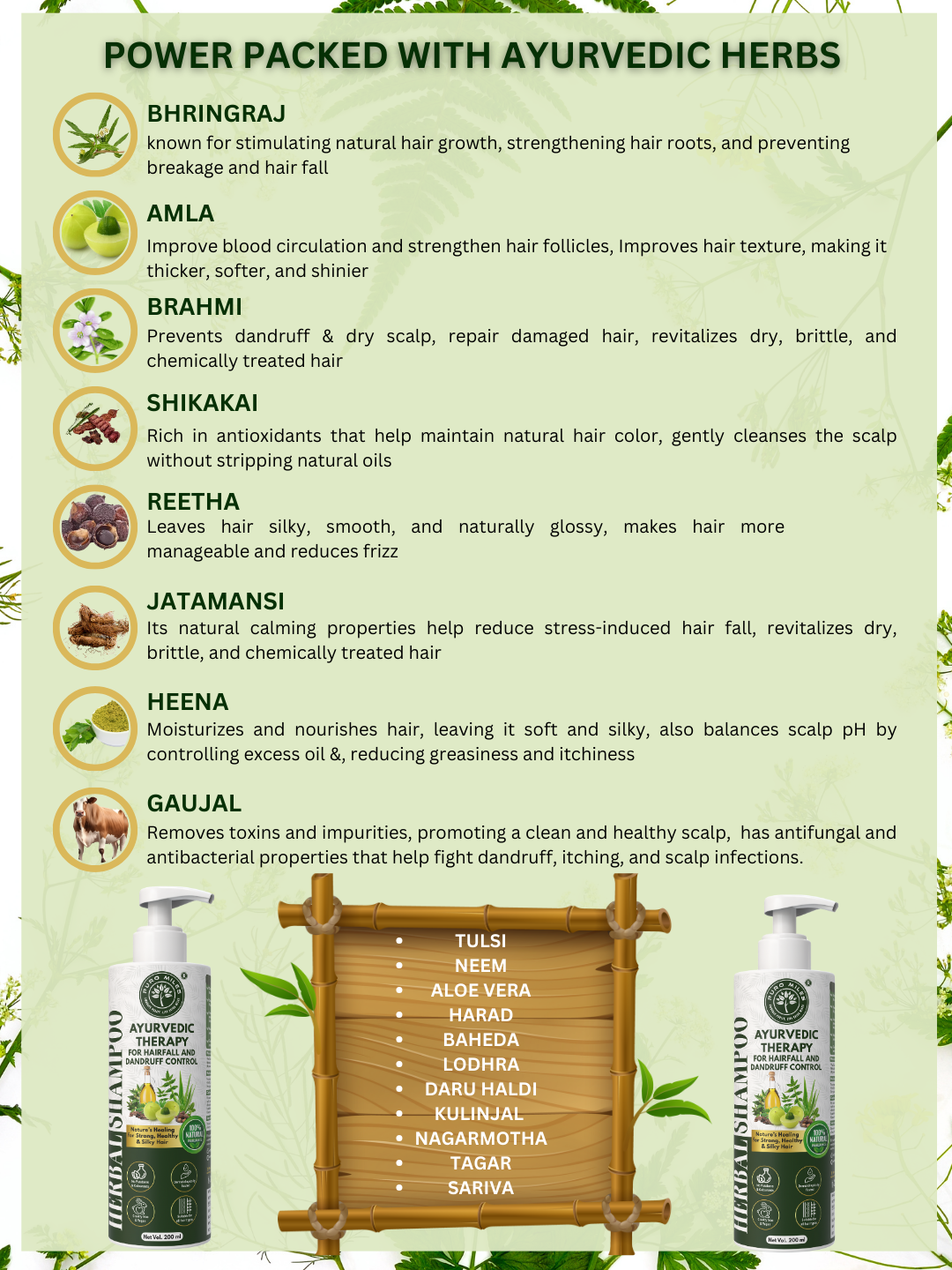 Ayurvedic Shampoo for Hair Fall and Dandruff Control