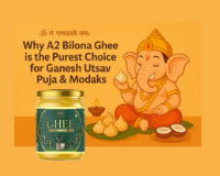The Divine Bond Between Pure A2 Ghee & Ganesh Ji